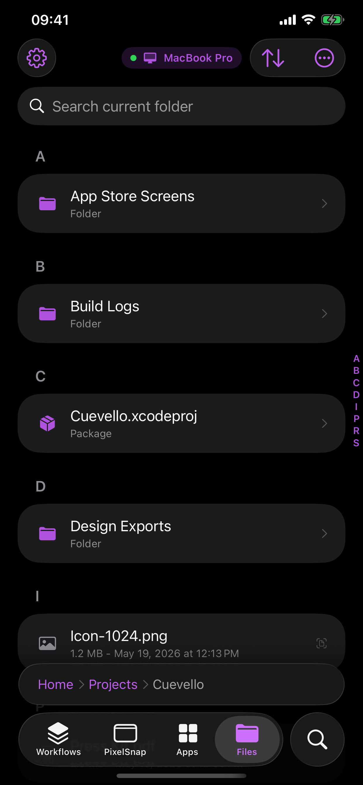 Cuevello files screen on iPhone